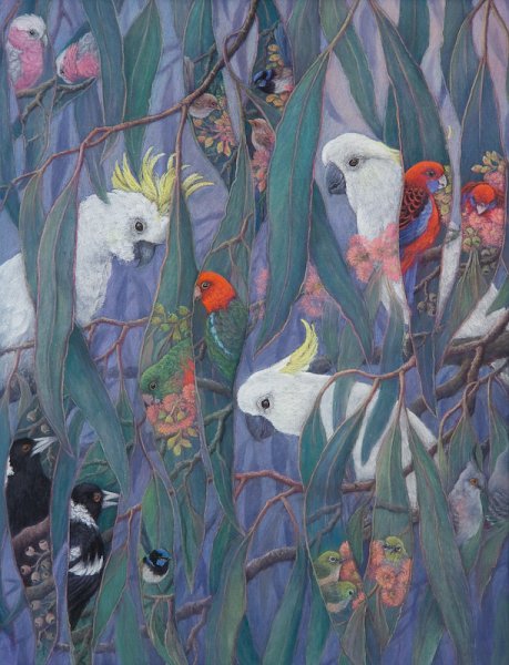 Hide and seek in the gum tree.jpg